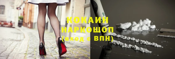 гашик Алексин