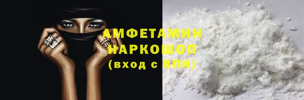 гашик Алексин