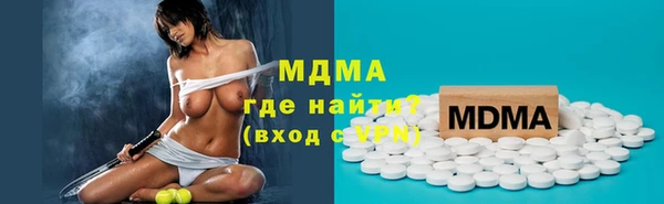 гашик Алексин