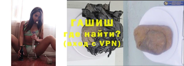 гашик Алексин