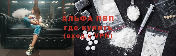 гашик Алексин