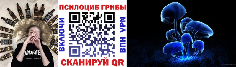 дарнет шоп  Биробиджан  Галлюциногенные грибы мухоморы 
